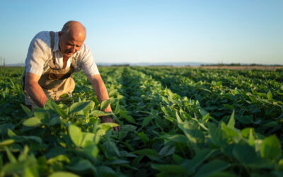 Los Miembros de la OMC nombran un nuevo Presidente para las negociaciones sobre la agricultura