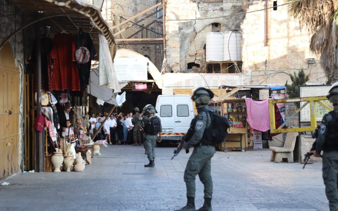 80 ONG internacionales piden prohibir el comercio con los asentamientos israelíes de los territorios palestinos ocupados