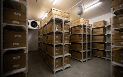 El viaje secreto de uno de los tesoros de Ucrania: su banco de semillas