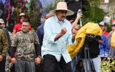 ¿Quién puede detener al tiburón?