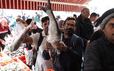 “Paren las bolsas”: los muchos mundos de Jerusalén confluyen en una pescadería