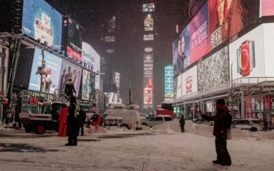 Nueva York descubre el efecto raticida del frío extremo