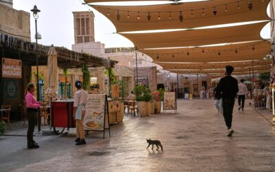 No solo las baterías antiaéreas protegen las costas árabes del Golfo