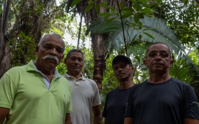 Brasil condena a Volkswagen por esclavizar a peones en la Amazonia hace 40 años