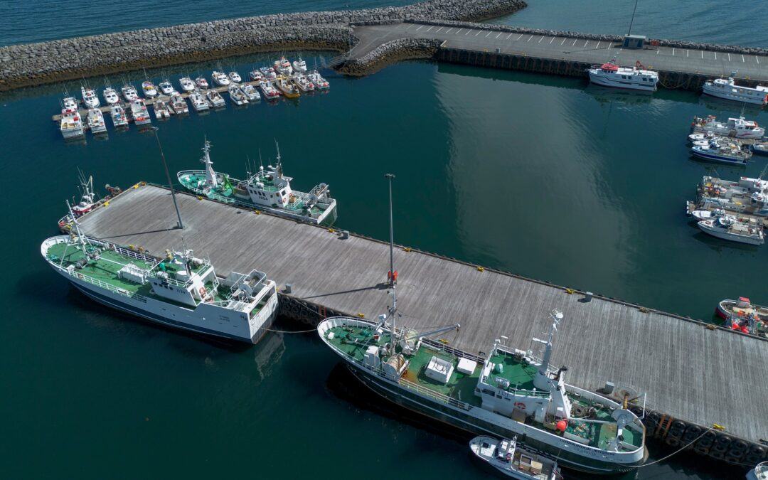 La pesca, la principal barrera entre Islandia y la Unión Europea