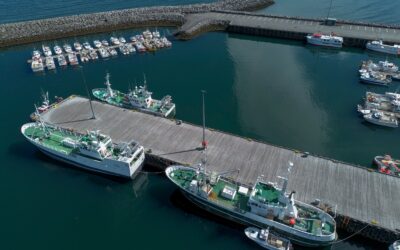 La pesca, la principal barrera entre Islandia y la Unión Europea