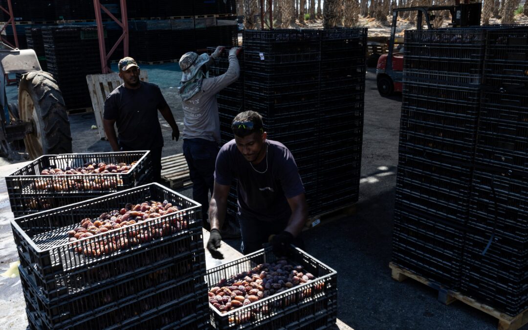La UE arrastra los pies para levantar un frente común contra los productos procedentes de los asentamientos israelíes