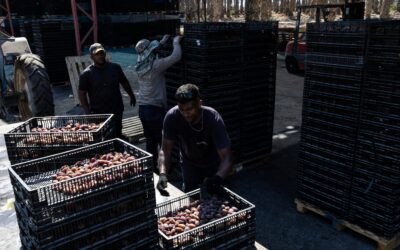 La UE arrastra los pies para levantar un frente común contra los productos procedentes de los asentamientos israelíes